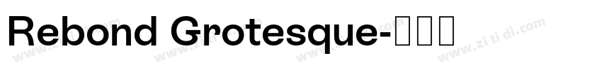 Rebond Grotesque字体转换 Rebond Grotesque字体转换
